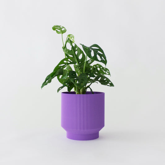 Planter M Zylinder